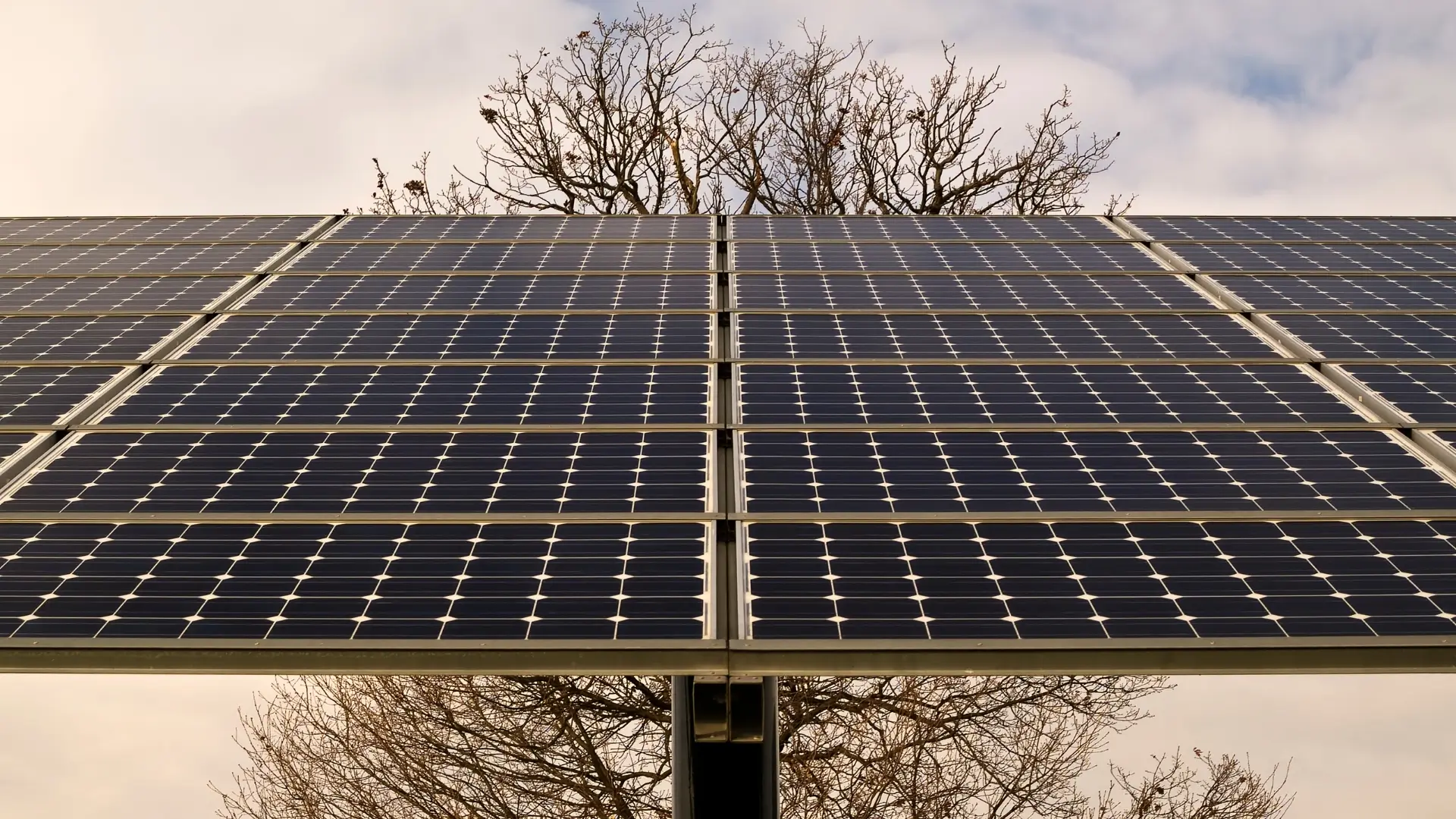 Panel solar siguiendo al sol